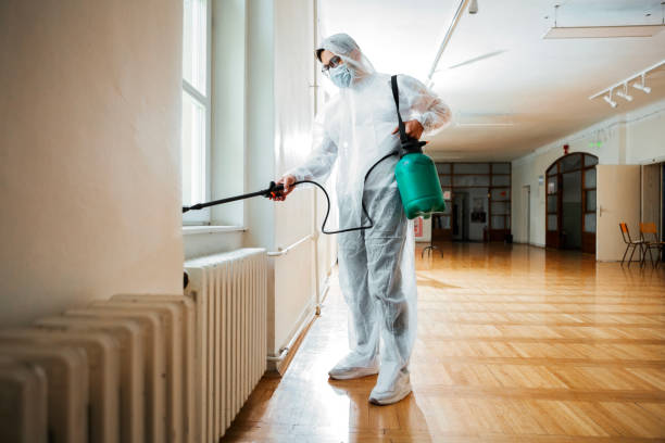 Best Fumigation Services  in Vineyard, CA